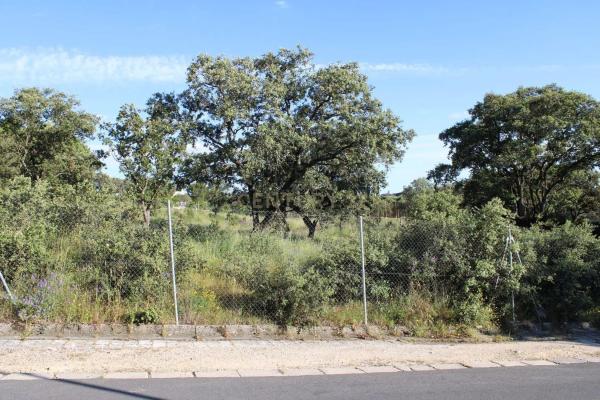 Terreno en calle Cabo Candelaria, 14