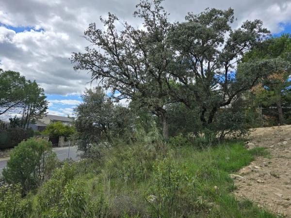 Terreno en calle Cabo Machichaco, 32