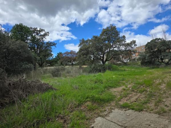 Terreno en calle Cabo Machichaco, 32