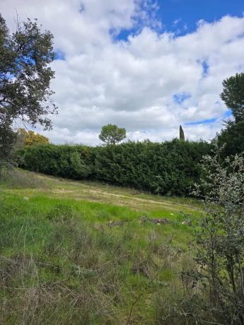 Terreno en calle Cabo Machichaco, 32