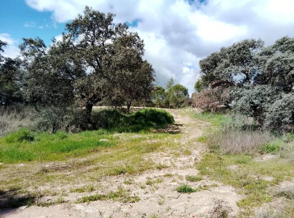Terreno en calle Cabo Machichaco