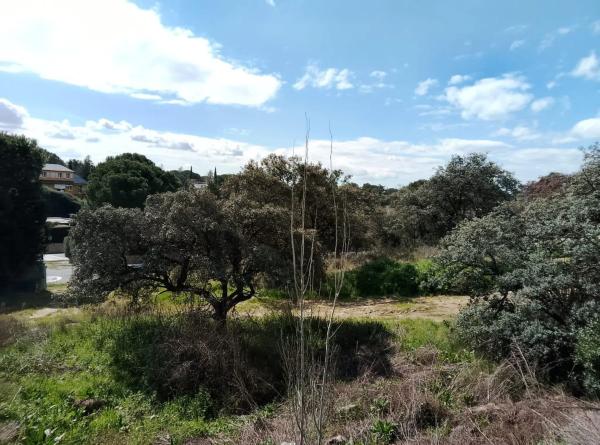 Terreno en calle Cabo Machichaco