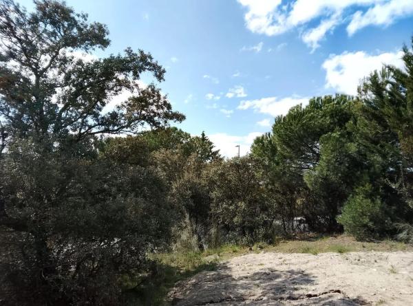 Terreno en calle Cabo Machichaco