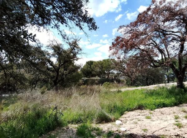 Terreno en calle Cabo Machichaco