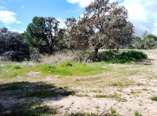 Terreno en calle Cabo Machichaco