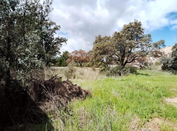Terreno en calle Cabo Machichaco