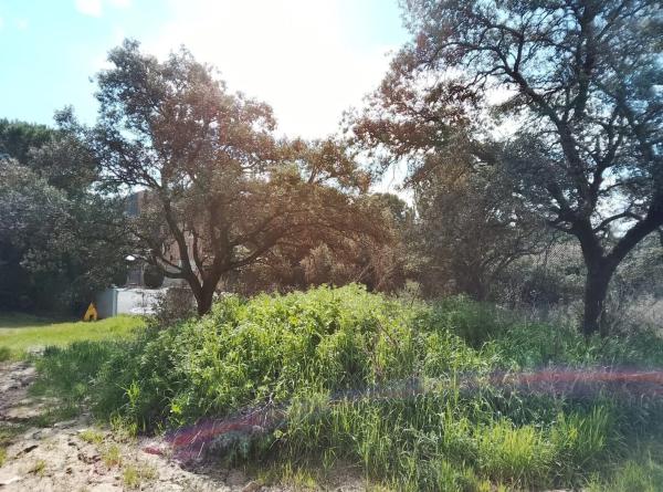 Terreno en calle Cabo Machichaco