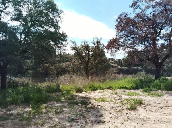 Terreno en calle Cabo Machichaco