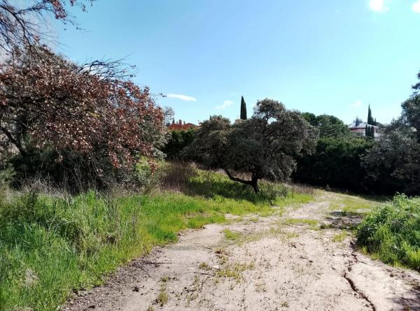 Terreno en calle Cabo Machichaco