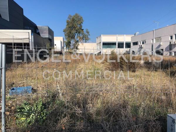 Terreno en calle Sofía