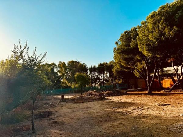 Terreno en calle del Alto de las Cabañas