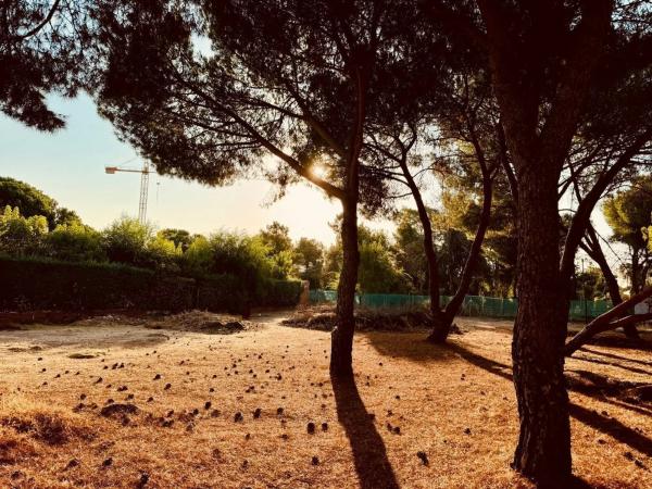 Terreno en calle del Alto de las Cabañas