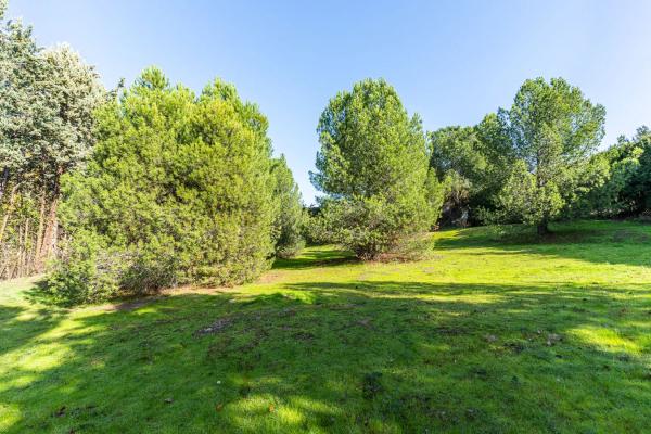 Terreno en avenida de Atenas