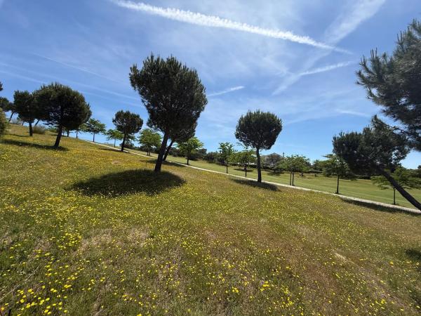 Terreno en calle Cabo Candelaria, 14