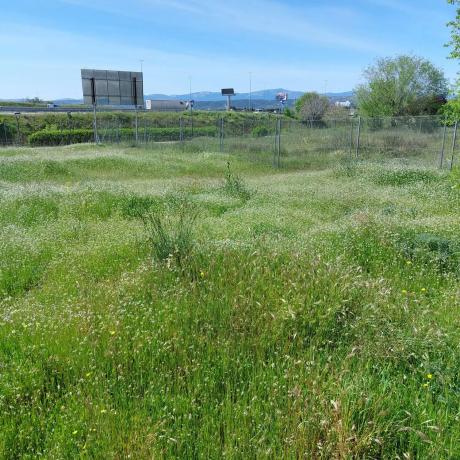 Terreno en calle Castillo de Villafranca s/n