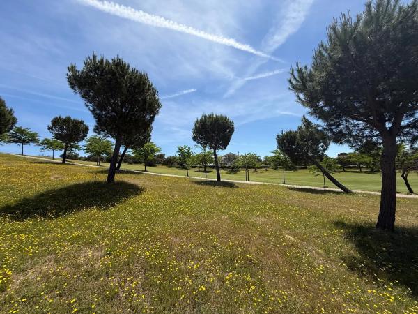 Terreno en calle Cabo Candelaria, 14