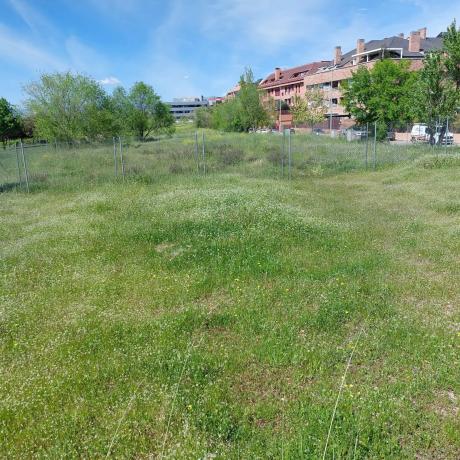 Terreno en calle Castillo de Villafranca s/n