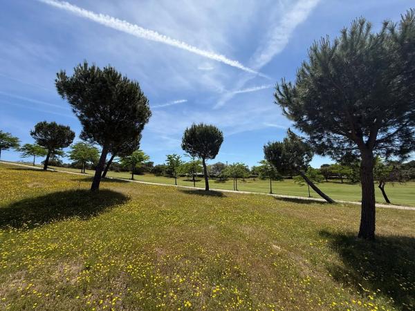 Terreno en calle Cabo Candelaria, 14