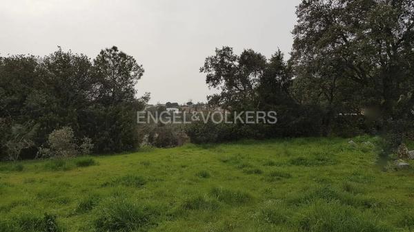 Terreno en Barrio Las Matas- Peñascales