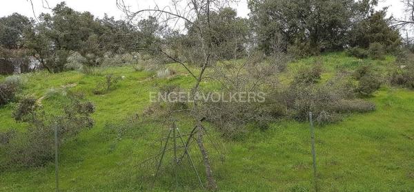 Terreno en Barrio Las Matas- Peñascales