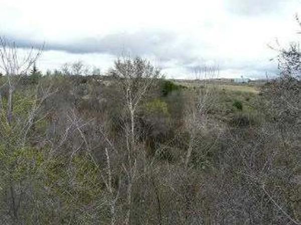 Terreno en Rodrigo, 4