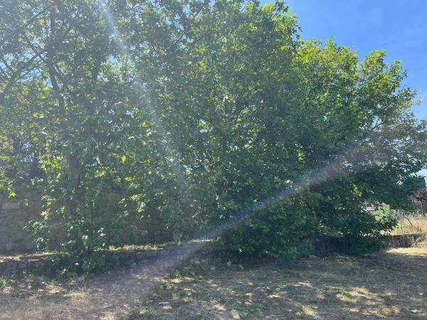 Terreno en travesía Majalastablas, 30