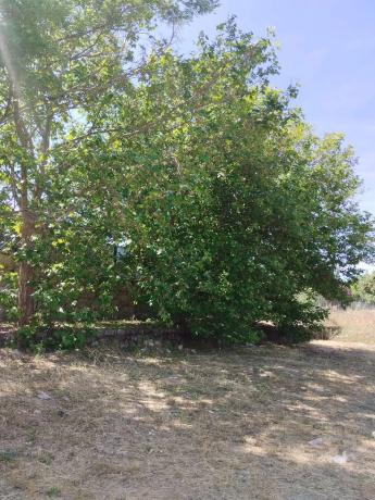 Terreno en travesía Majalastablas, 30