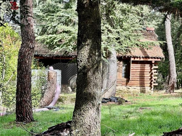 Terreno en Los Molinos