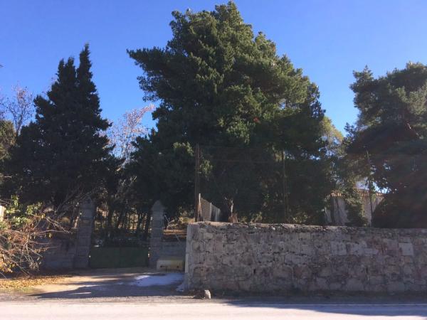 Terreno en avenida de la Concordia, 67