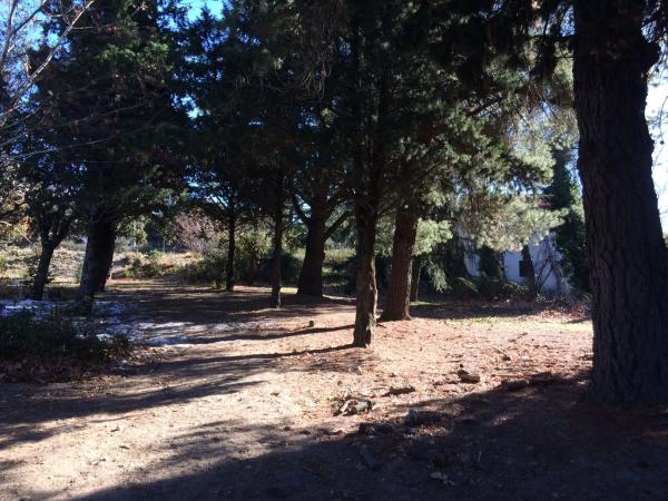 Terreno en avenida de la Concordia, 67