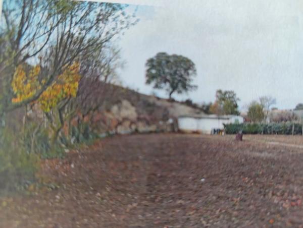 Terreno en camino Dehesa s/n