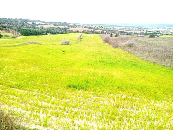 Terreno en Golf - El Carralero