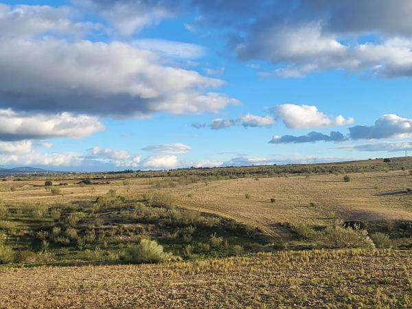 Terreno en Zona norte
