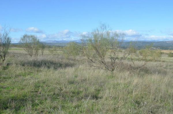 Terreno en Casco Antiguo