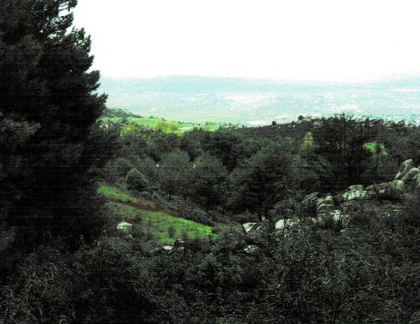 Terreno en los rasos, km 2