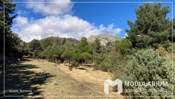 Terreno en Mataelpino