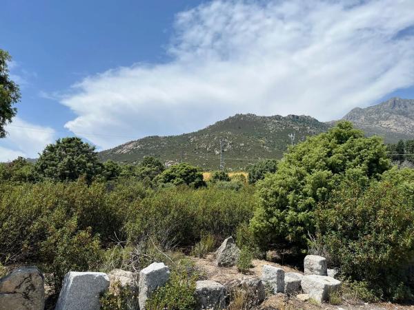 Terreno en calle de Quiñones de Álvaro, 1