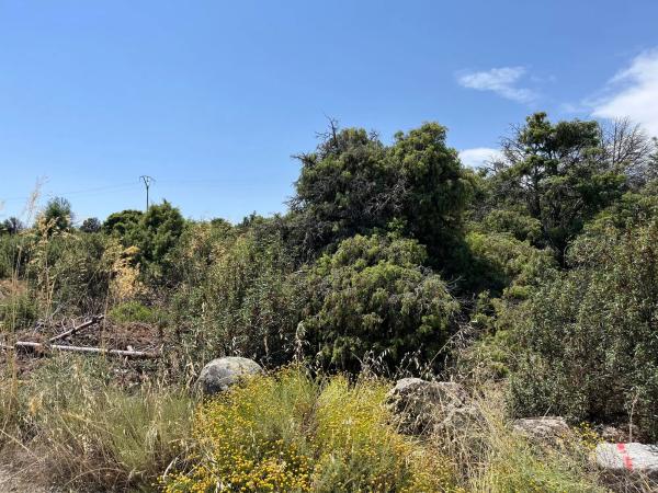 Terreno en calle de Quiñones de Álvaro, 1