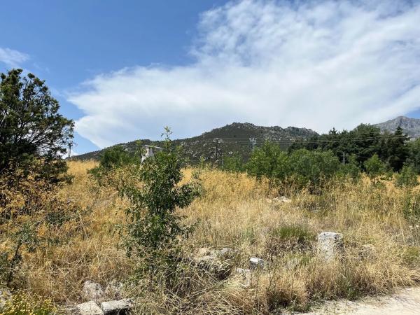 Terreno en calle de Quiñones de Álvaro, 1