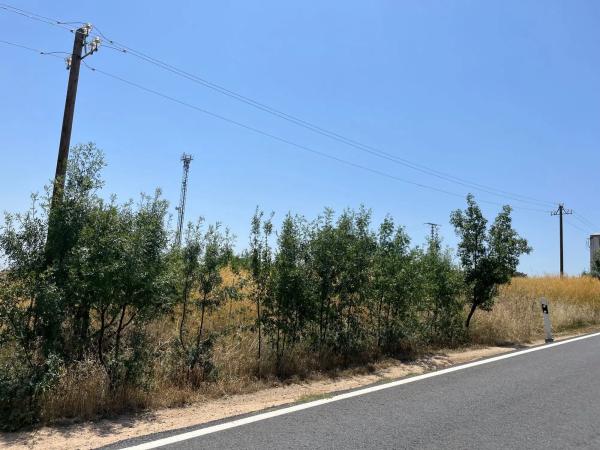 Terreno en calle de Quiñones de Álvaro, 1