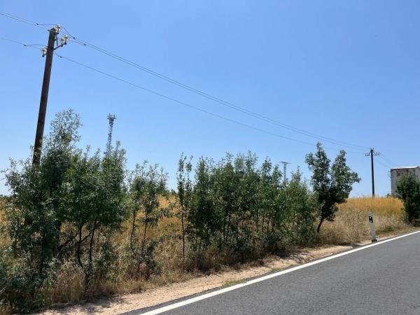 Terreno en calle de Quiñones de Álvaro, 1