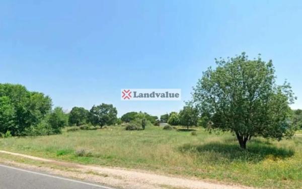 Terreno en calle Carranza