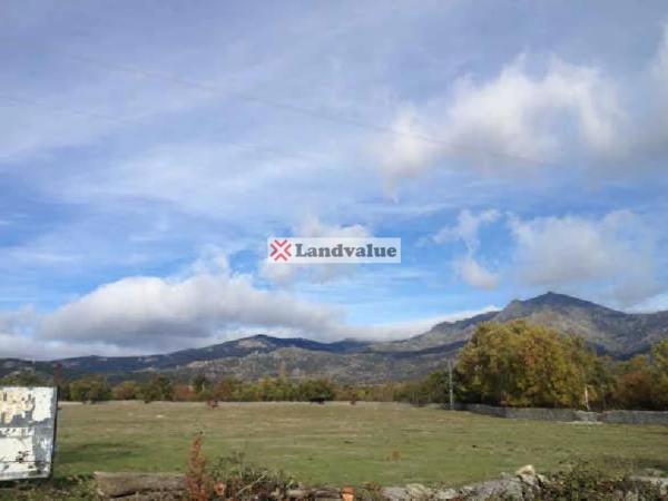 Terreno en calle Carranza