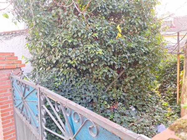 Terreno en calle Barrio de Arriba