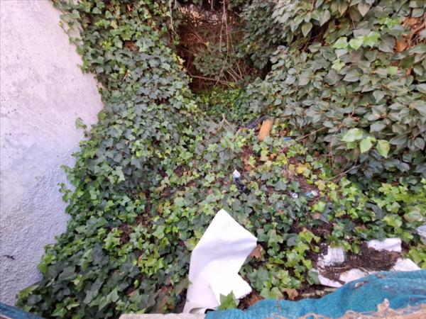 Terreno en calle Barrio de Arriba