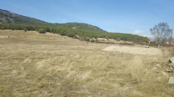 Terreno en camino de Alpedrete