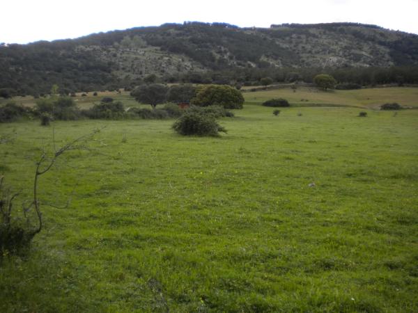 Terreno en camino de Alpedrete