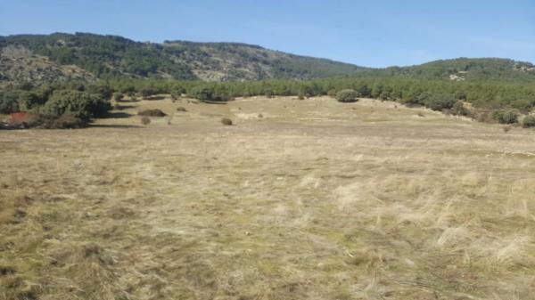 Terreno en camino de Alpedrete