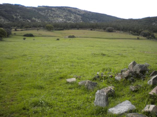 Terreno en camino de Alpedrete