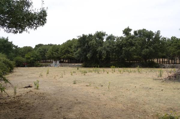 Terreno en calle la Chozuela s/n